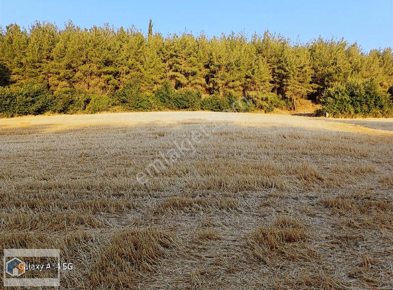 Çelebi Emlak Tan Yalova Köyünde Mükemmel Çiftlik Arazisi - Görsel 7