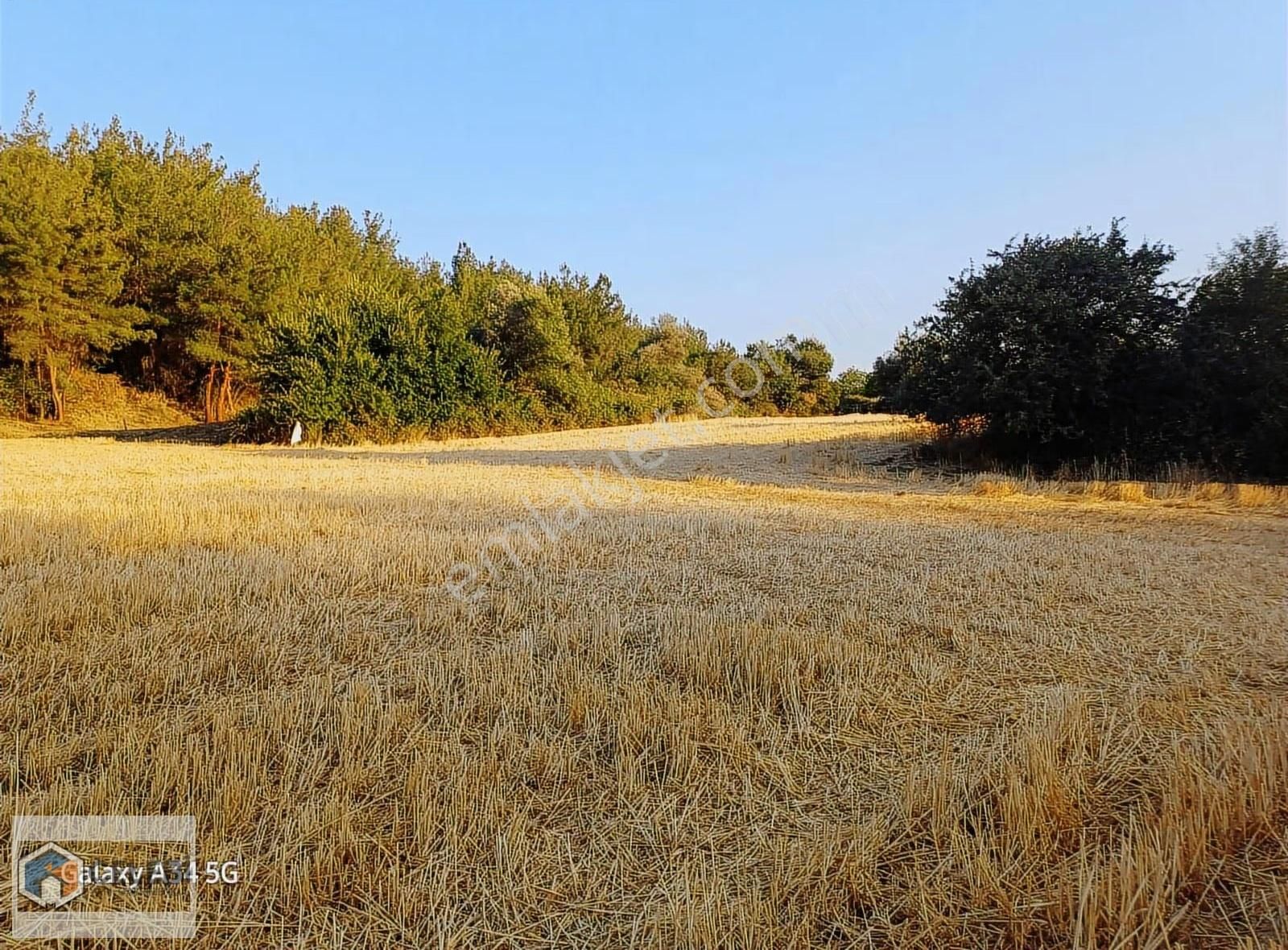 Çelebi Emlak Tan Yalova Köyünde Mükemmel Çiftlik Arazisi