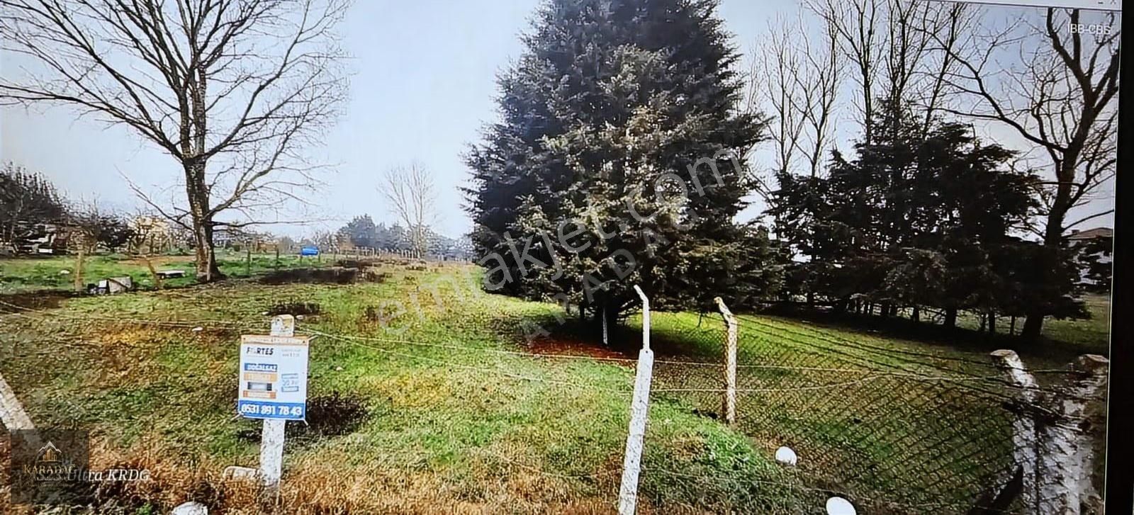 Çatalca Kestanelık 1.950 Metre Satılık Tek Tapu Arazı