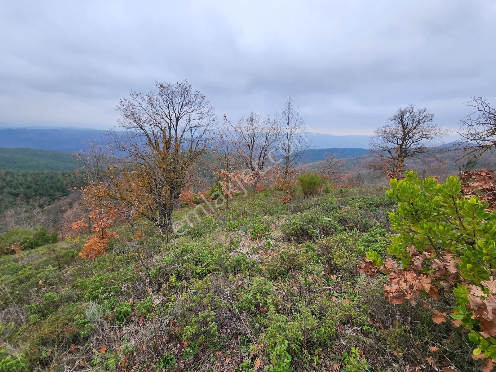 Çanakkale Yenice 8.200 M2 Satılık Arazi - Görsel 24