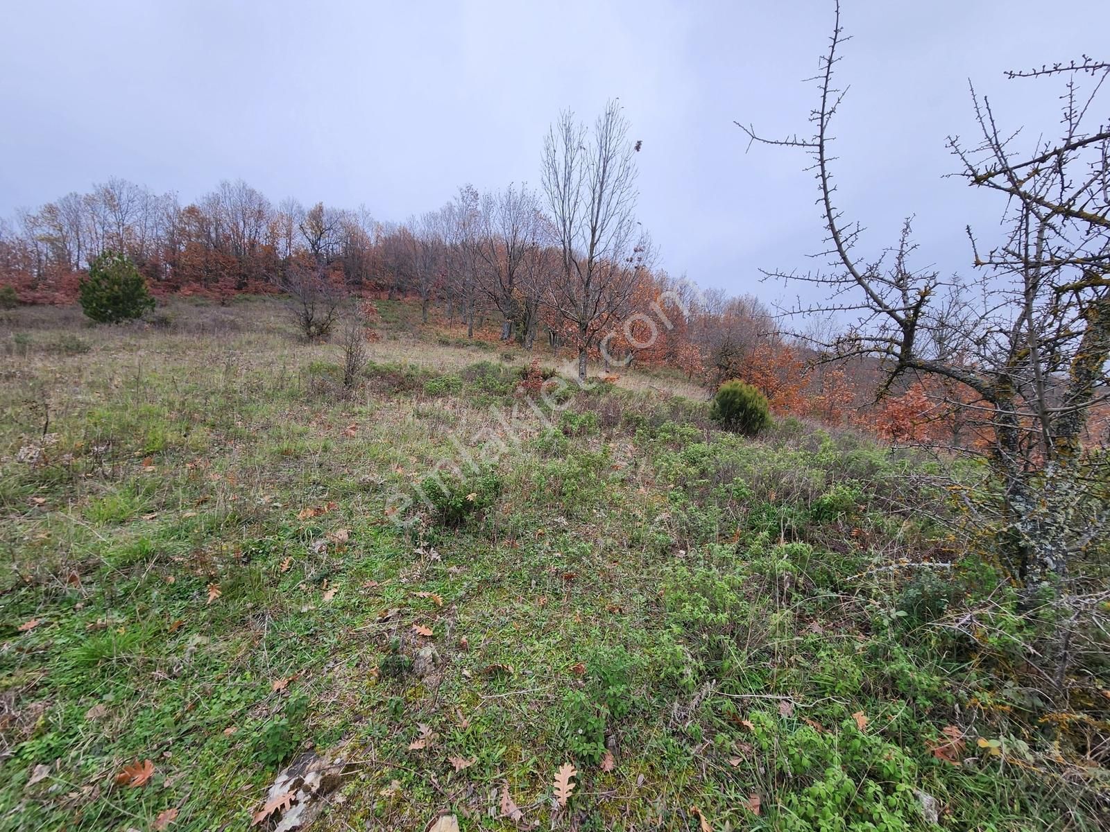 Çanakkale Yenice 8.200 M2 Satılık Arazi - Görsel 12