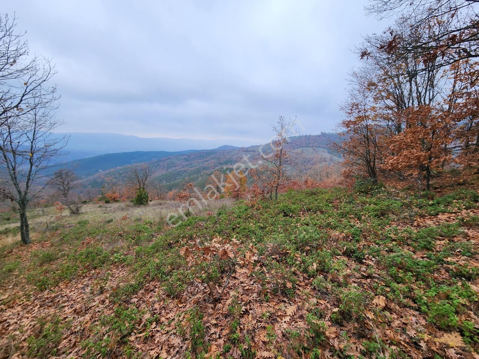 Çanakkale Yenice 8.200 M2 Satılık Arazi - Görsel 4