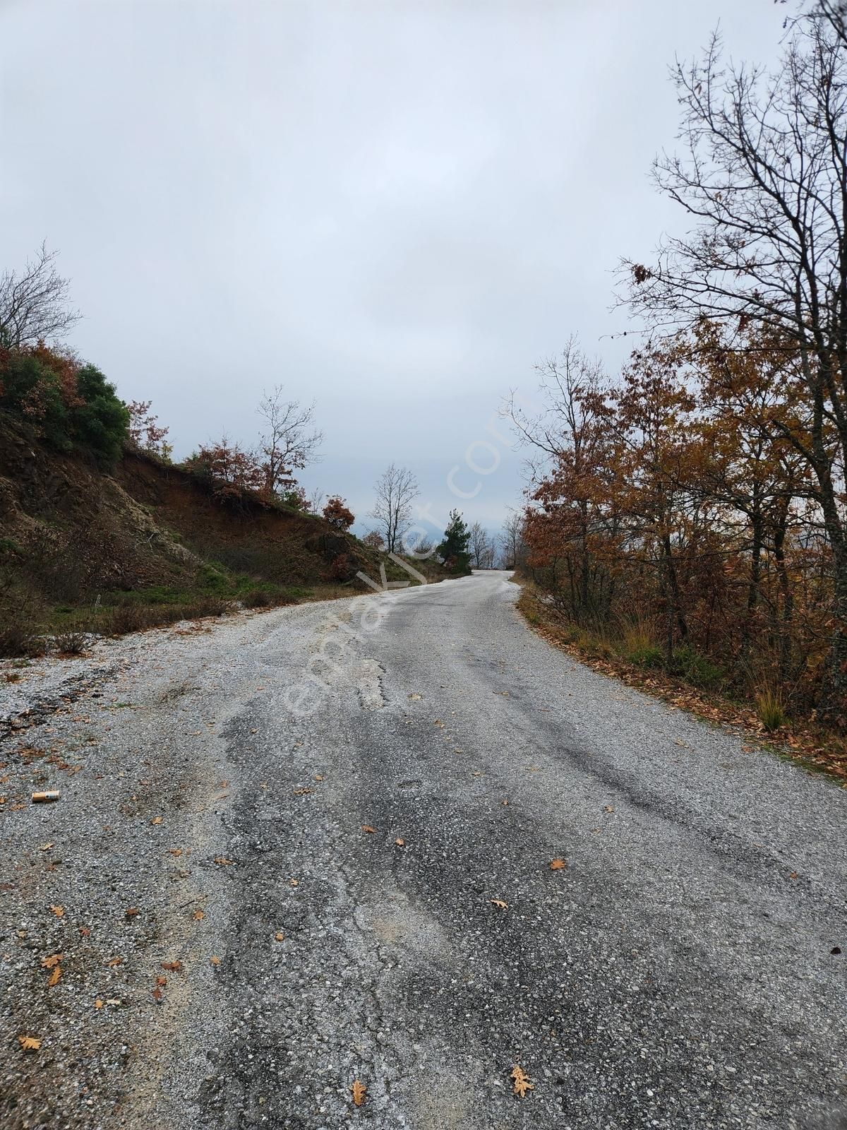 Çanakkale Yenice 8.200 M2 Satılık Arazi - Görsel 19