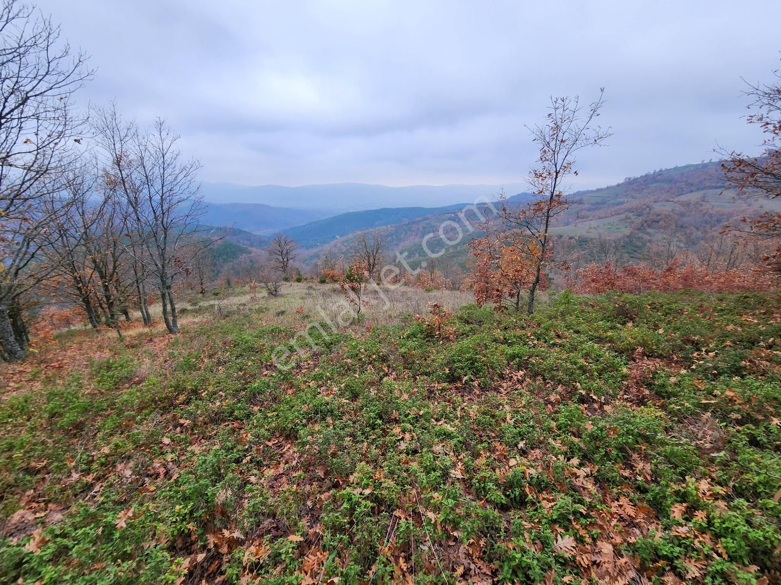 Çanakkale Yenice 8.200 M2 Satılık Arazi