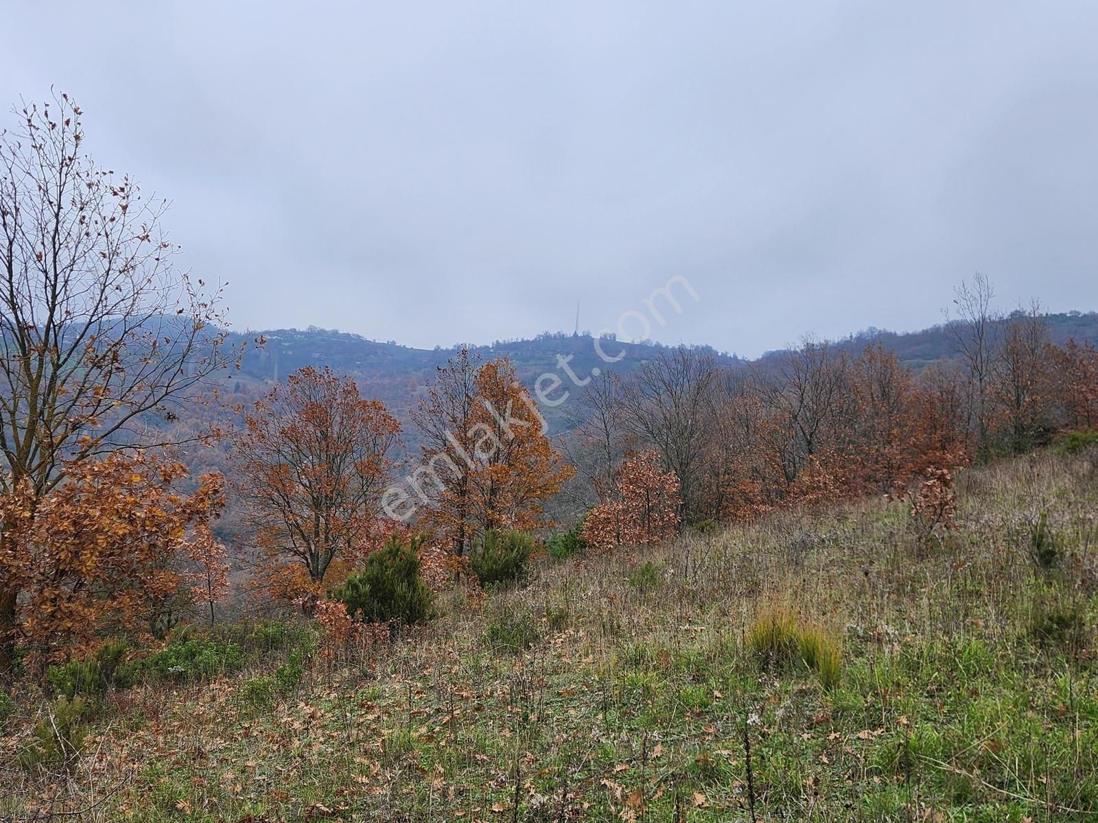 Çanakkale Yenice 8.200 M2 Satılık Arazi - Görsel 8