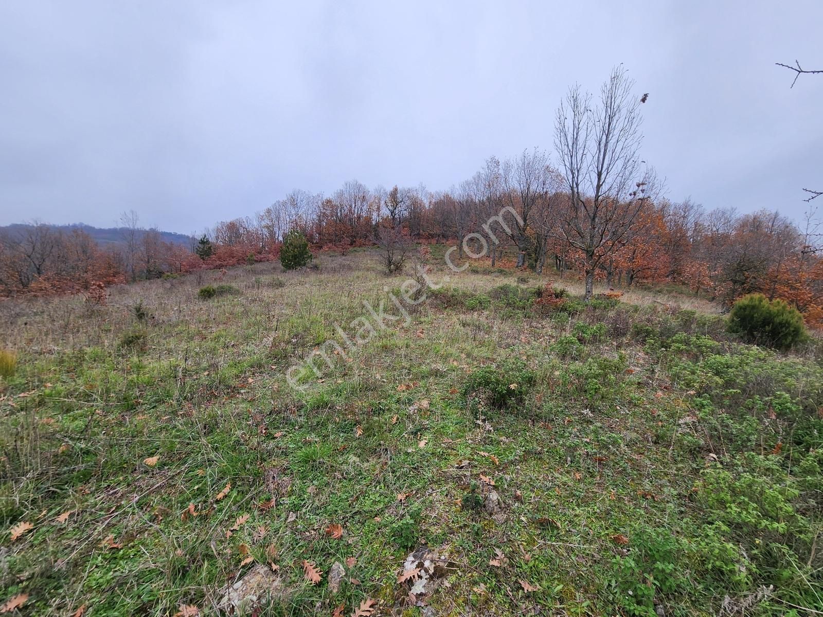 Çanakkale Yenice 8.200 M2 Satılık Arazi - Görsel 10