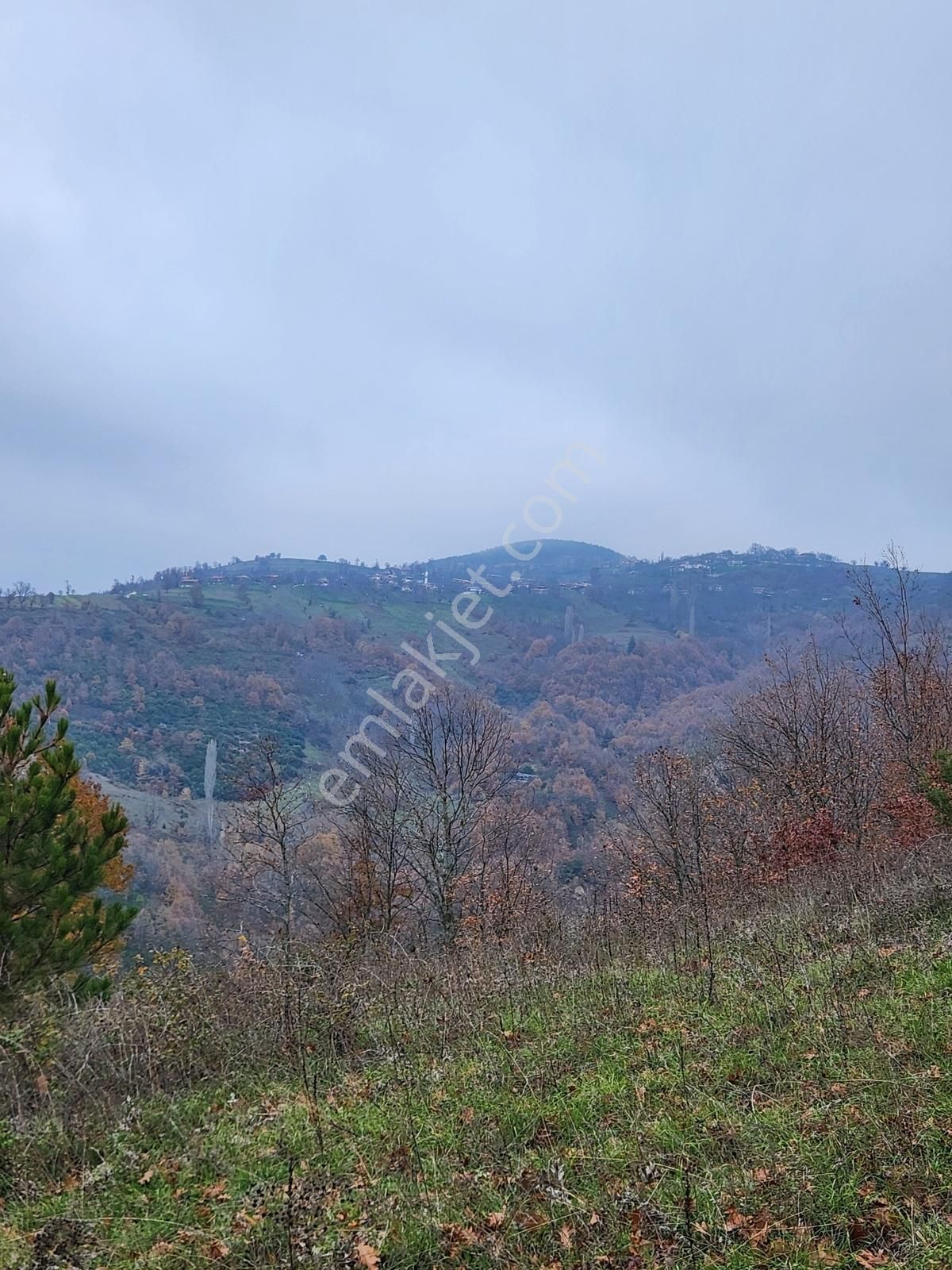 Çanakkale Yenice 8.200 M2 Satılık Arazi - Görsel 17