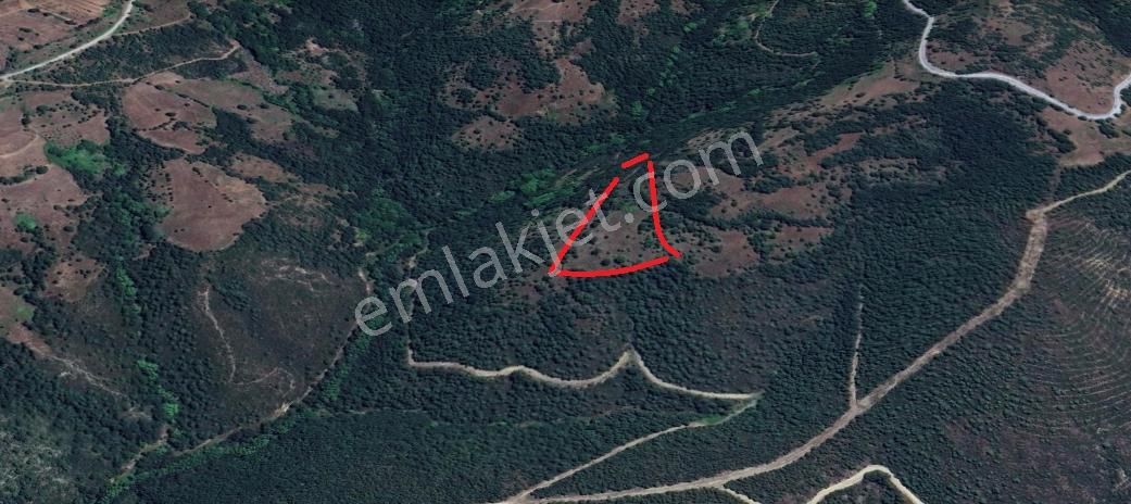 Çanakkale Yenice 8.200 M2 Satılık Arazi - Görsel 22