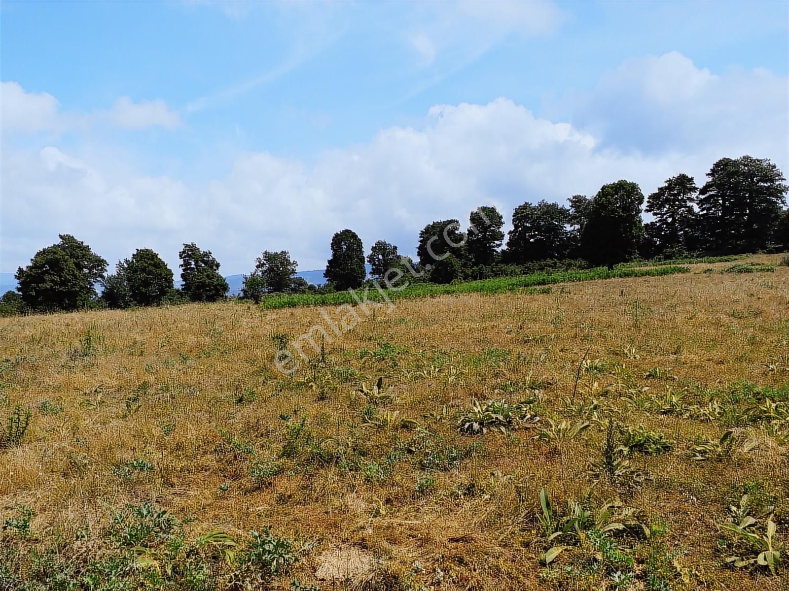 Çanakkale Yenice 26.000 M2 Satılık Arazi - Görsel 8