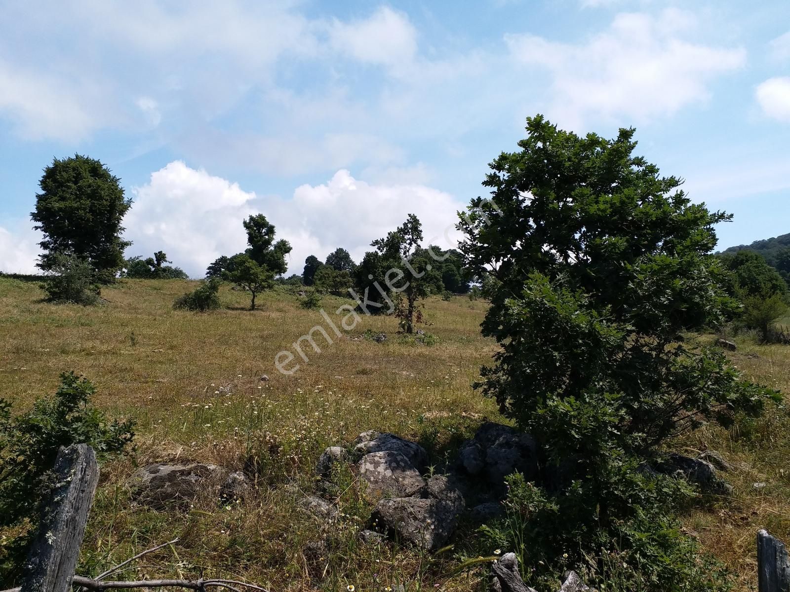 Çanakkale Yenice 26.000 M2 Satılık Arazi - Görsel 4