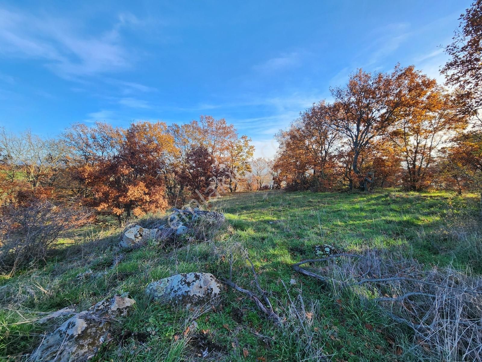 Çanakkale Kaz Dağlarının Eteklerinde 7.000 M2 Satılık Arazi - Görsel 4