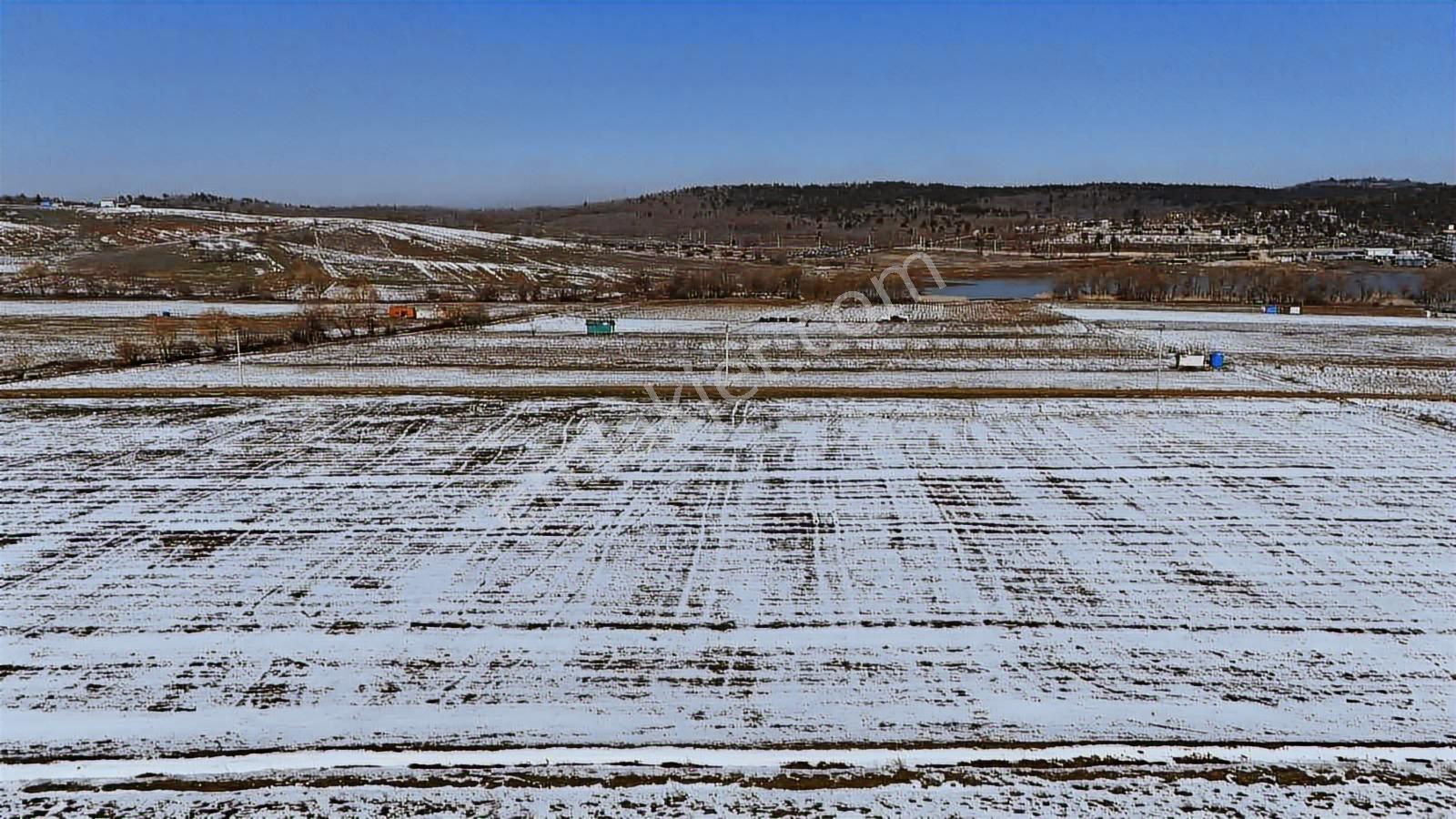 Doğancı Köy De Göl Manzaralı Satılık Arazi - Görsel 33