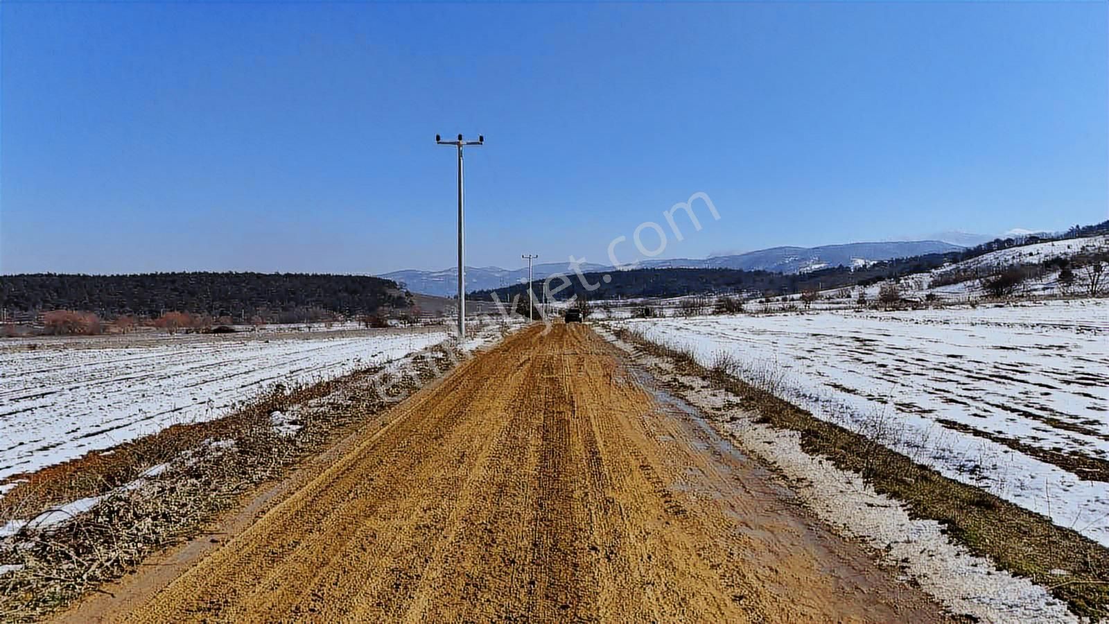Doğancı Köy De Göl Manzaralı Satılık Arazi - Görsel 28