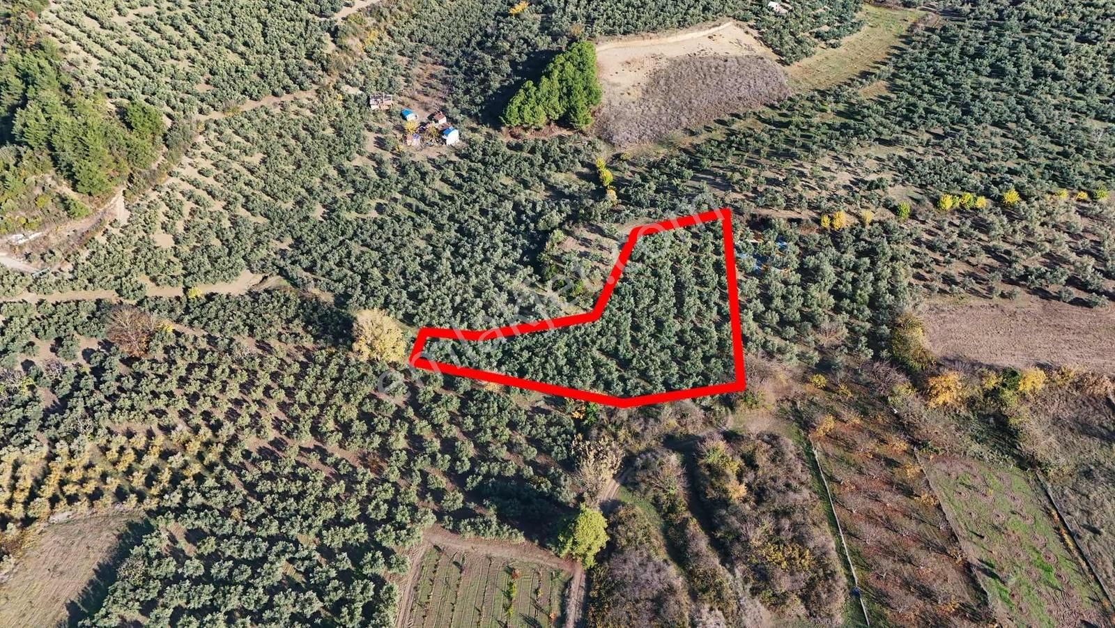 Mudanya Aydınpınar Da İmara Yakın Satılık Arazi - Görsel 6