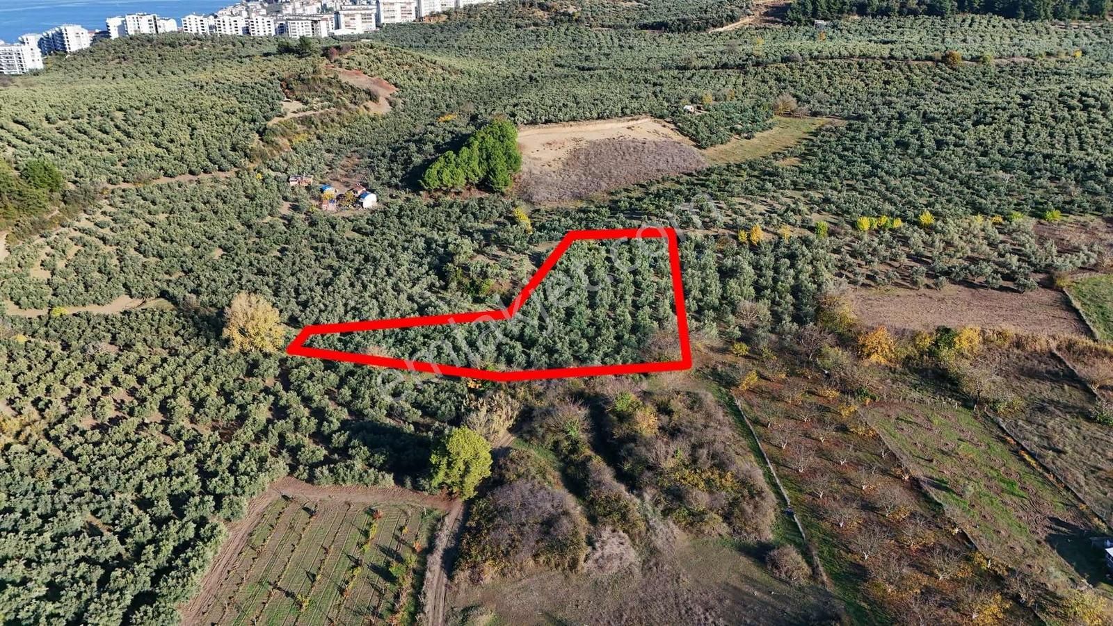 Mudanya Aydınpınar Da İmara Yakın Satılık Arazi - Görsel 24