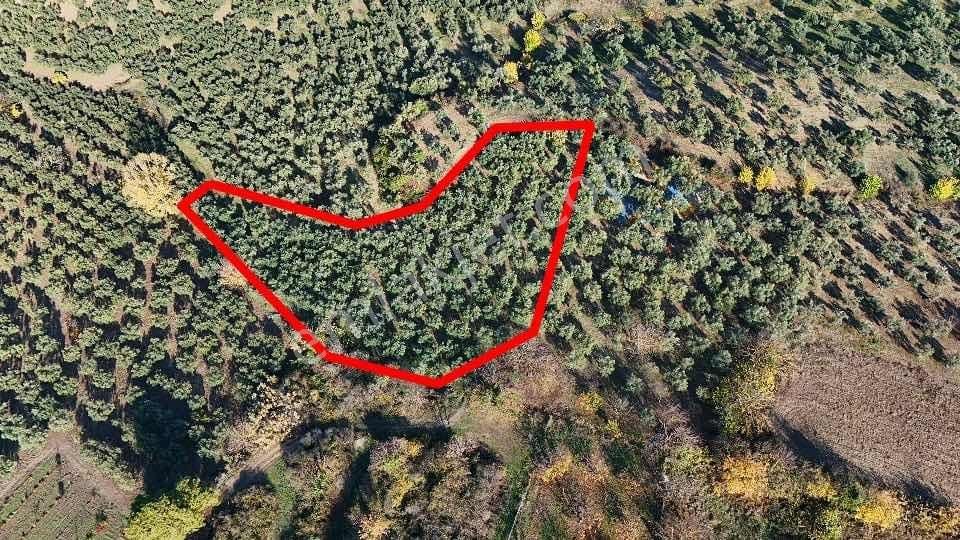 Mudanya Aydınpınar Da İmara Yakın Satılık Arazi - Görsel 13