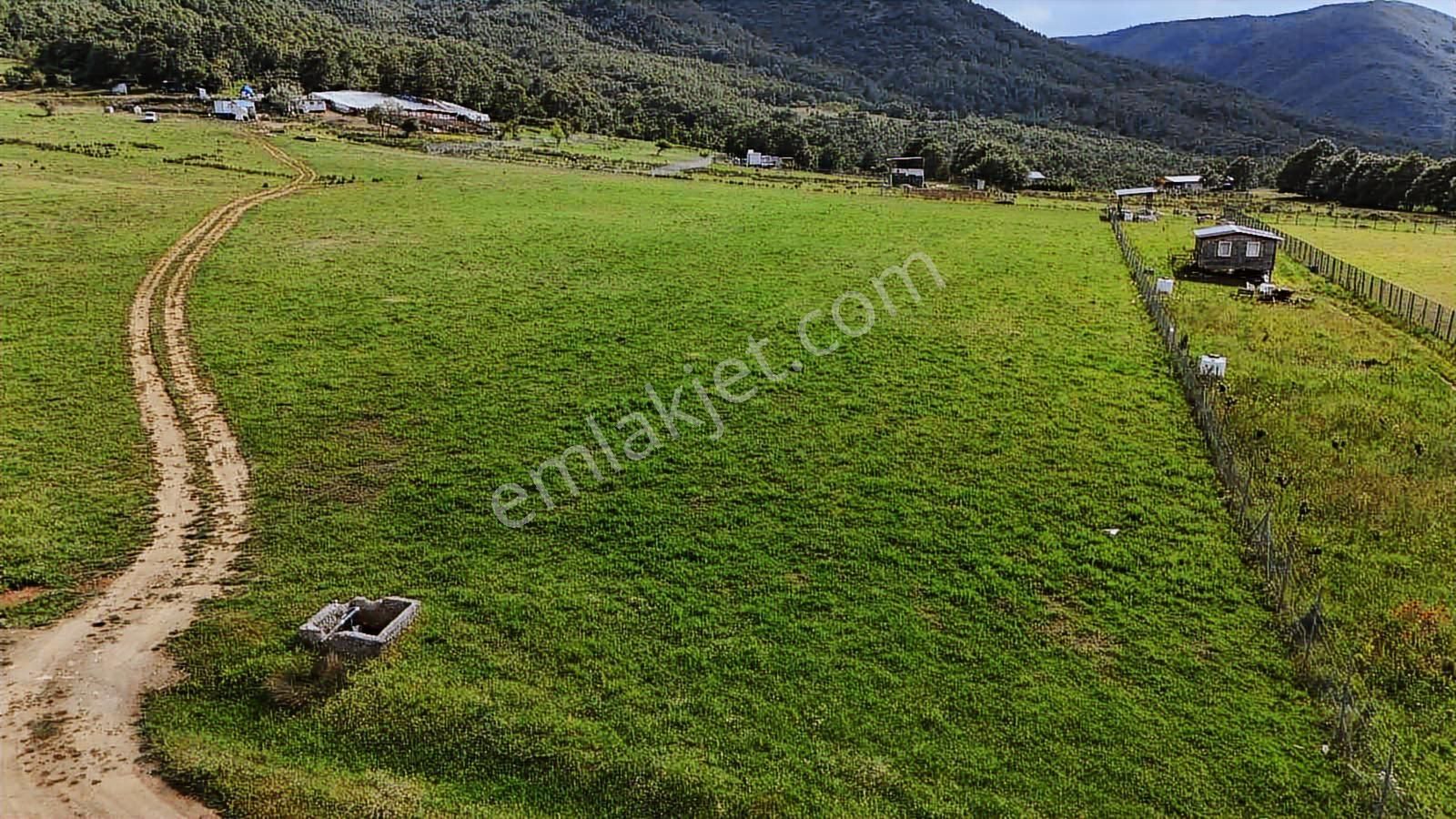 Doğancı Köy'de Satılık Arazi - Görsel 25
