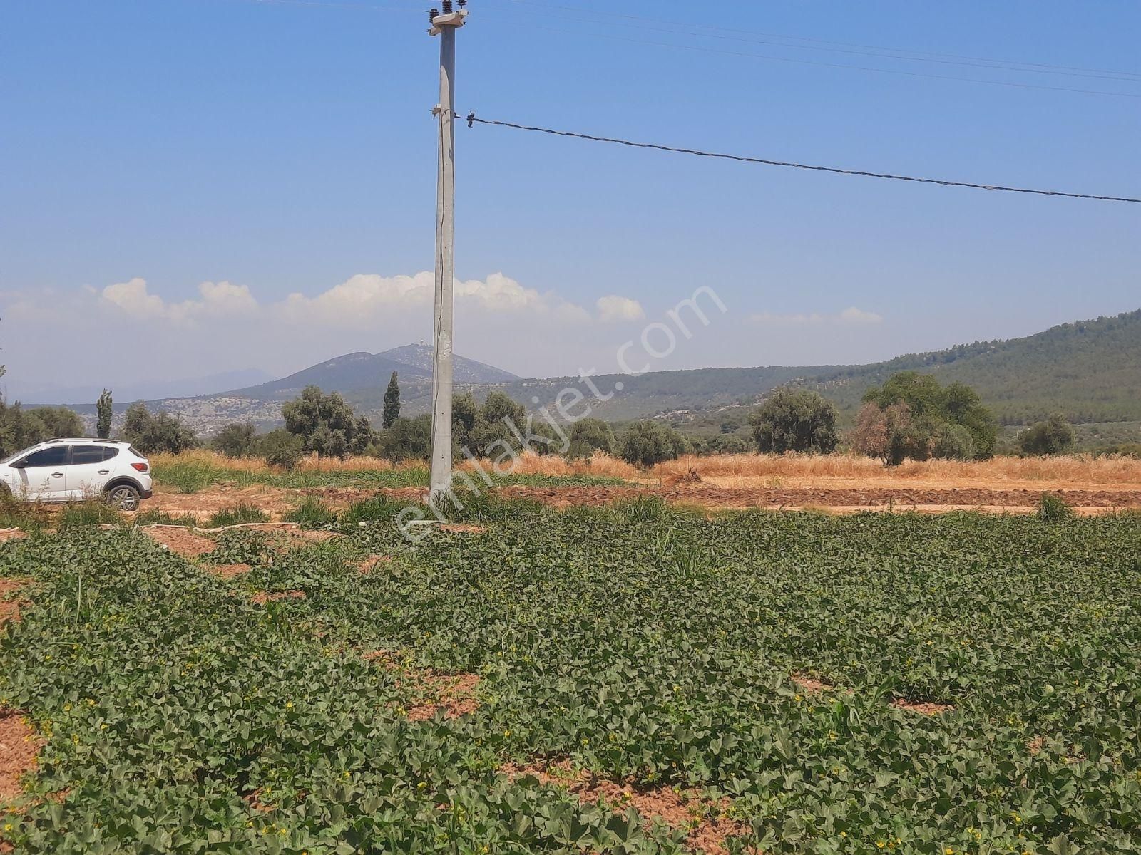 Milas Ağaçlıhüyük Te 4.988m² Resmı Yola Sıfır Fırsat Tarla - Görsel 31