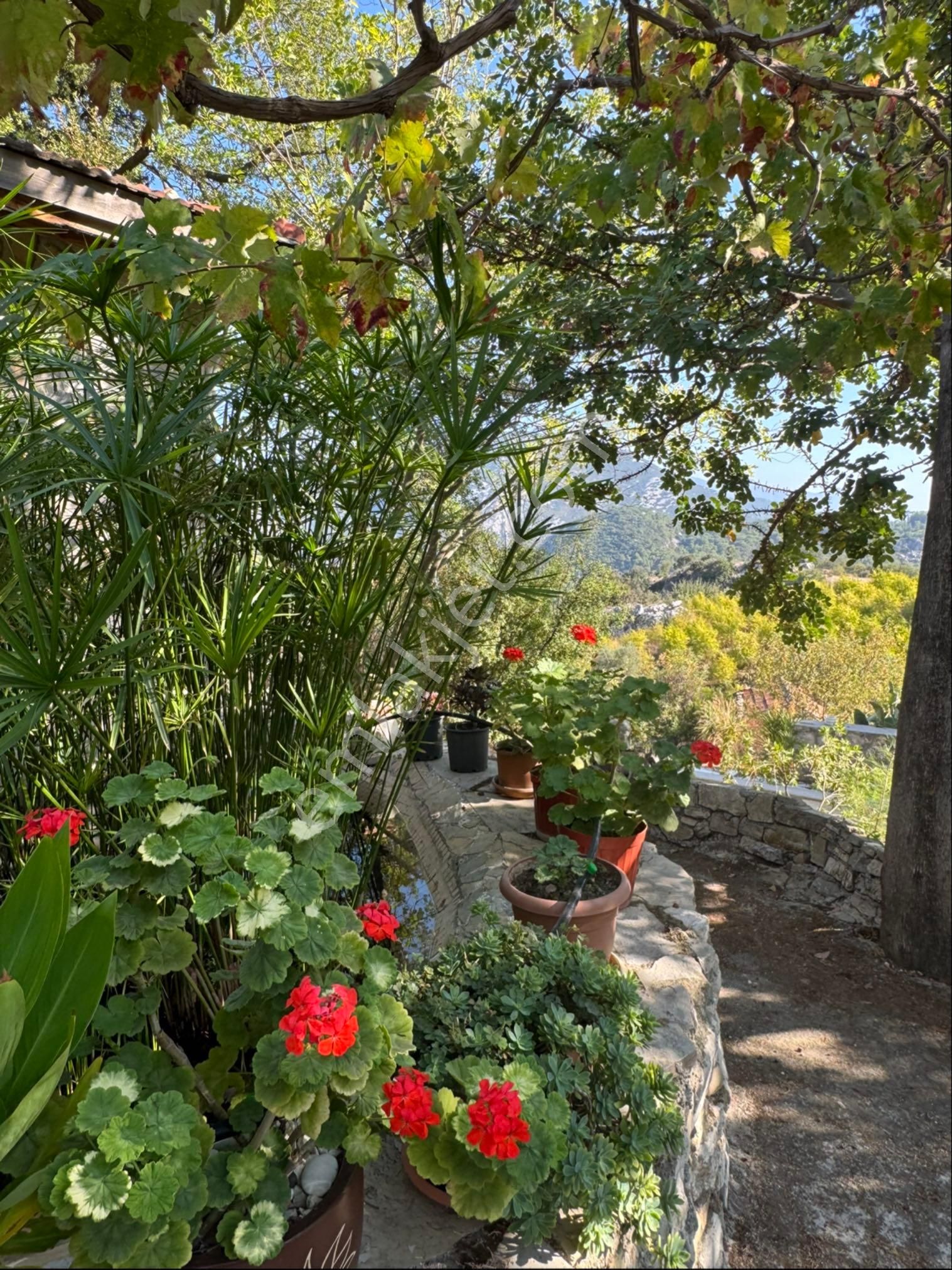 Adrasan Yeşilköy'de Müstakil Ev Ve 2065 M2 İmarlı Arsası - Görsel 4