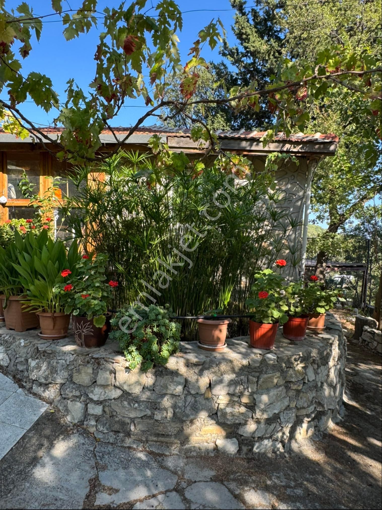 Adrasan Yeşilköy'de Müstakil Ev Ve 2065 M2 İmarlı Arsası - Görsel 2