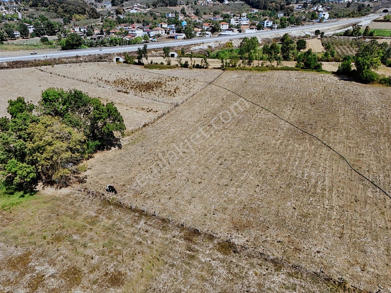 Kaynarca Büyükyanık Mah. Ana Yol Cepheli 2.230 M² Tarla | Tapu54 - Görsel 6