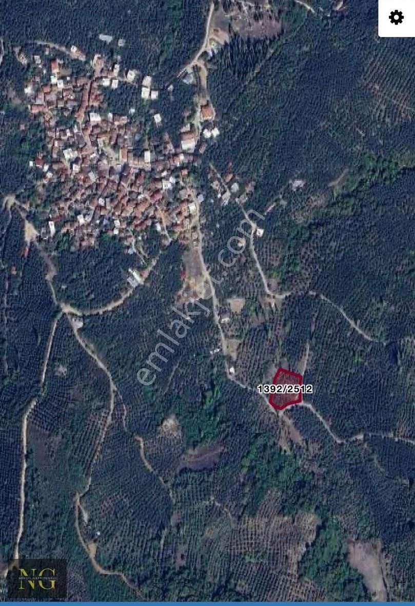 Nergisden Satılık Göl Manzaralı Tek Tapu Yola Cephe Zeytinlik - Görsel 10