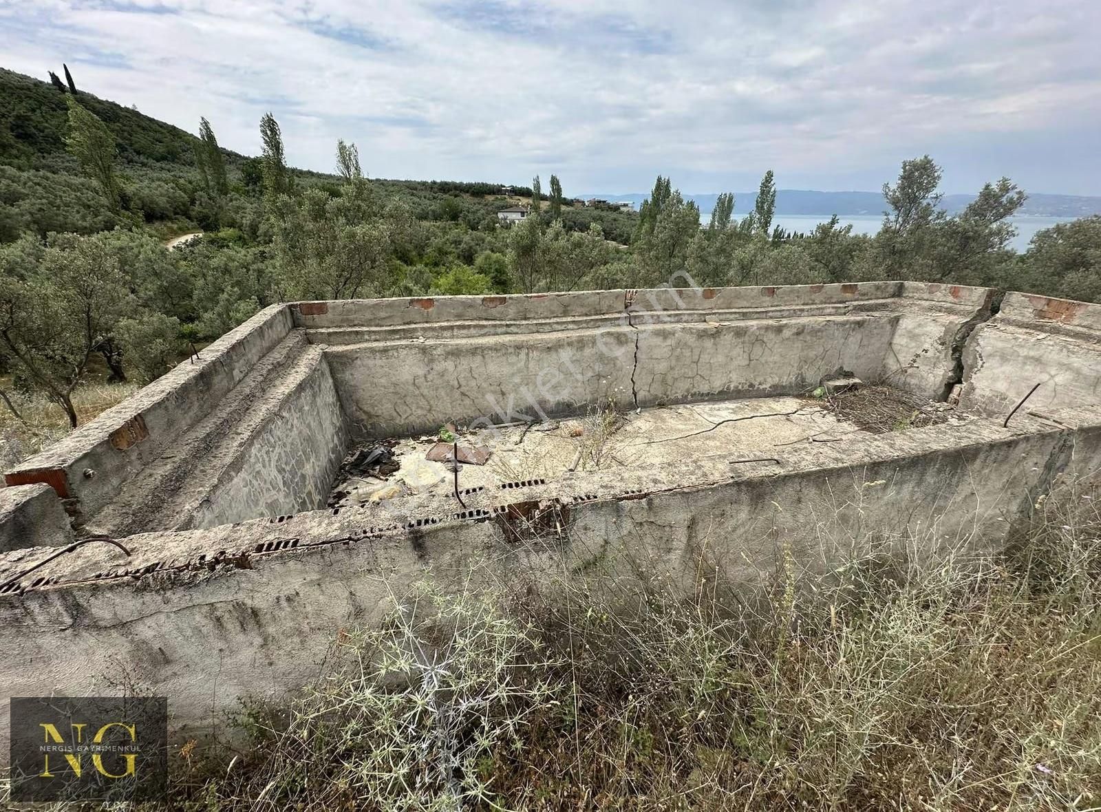 Nergisden Satılık Göl Manzaralı Tek Tapu Yola Cephe Zeytinlik - Görsel 13