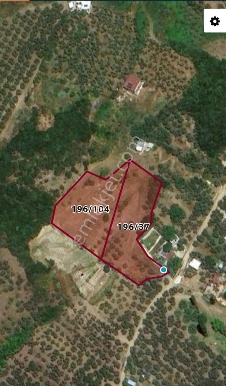 Mudanya Çepni Mah.köy İçi İmarlı 5 Dönüm Arazi (tek Tapu) - Görsel 2
