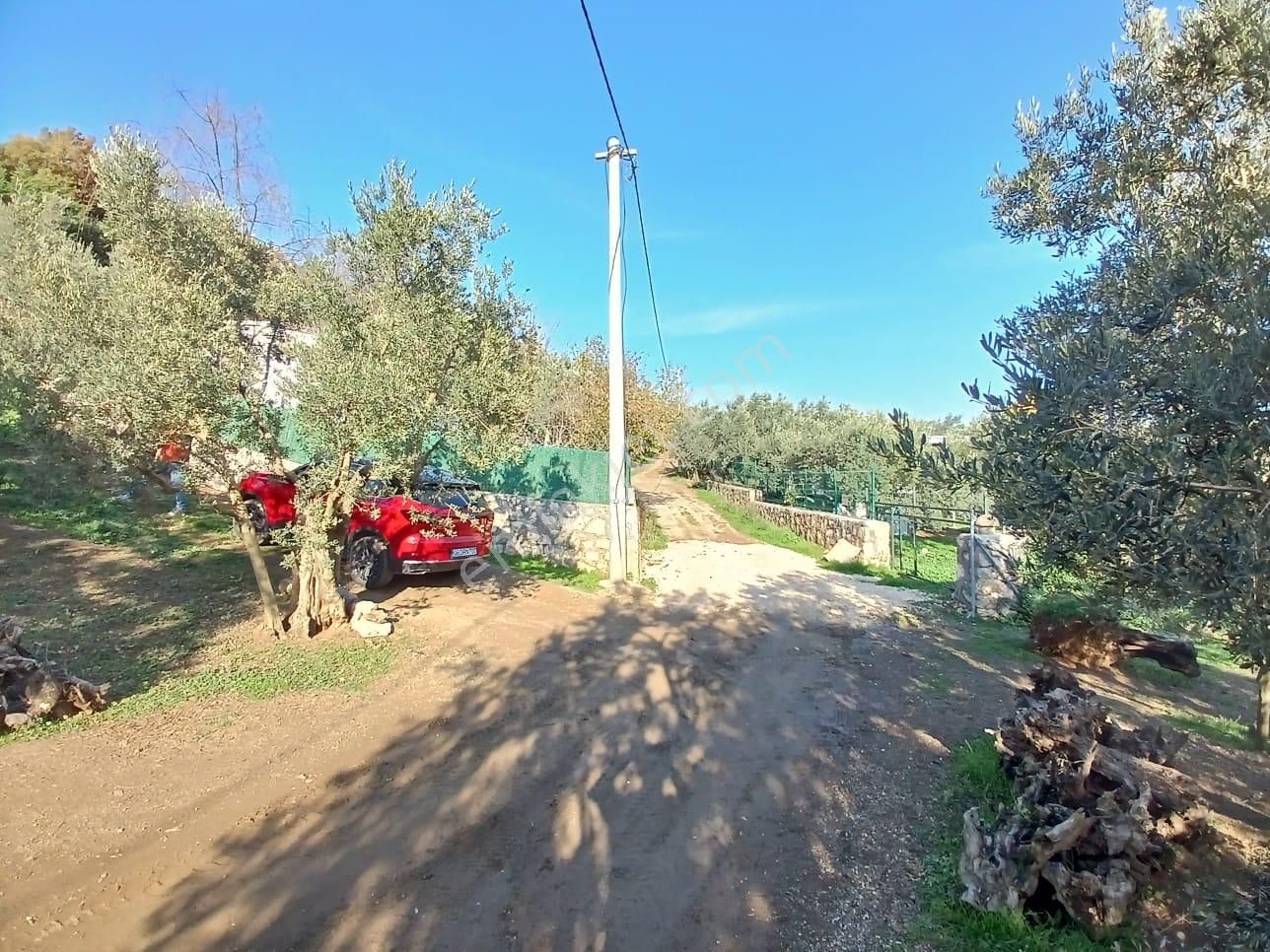 Mudanya Çepni Mah.köy İçi İmarlı 5 Dönüm Arazi (tek Tapu) - Görsel 7
