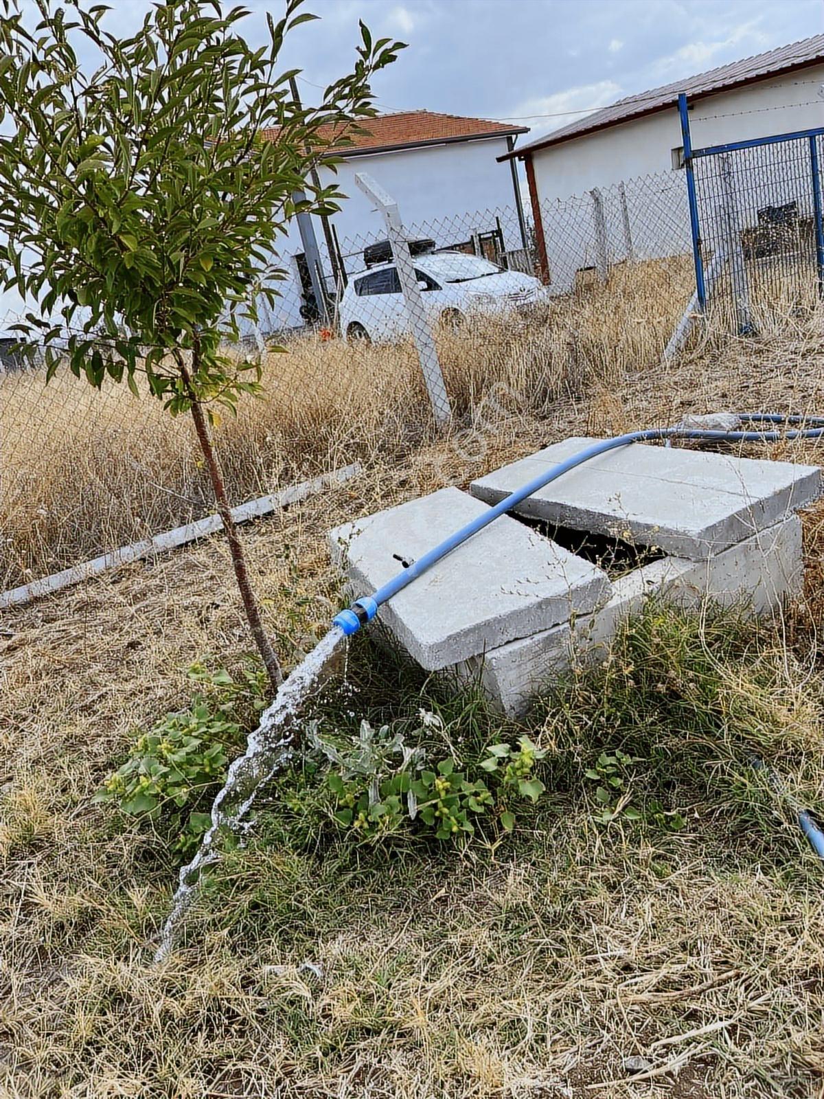 Çanakçı Köyünde 17 Dönüm Tarla İçinde Ev Yeri Meyvelık - Görsel 4