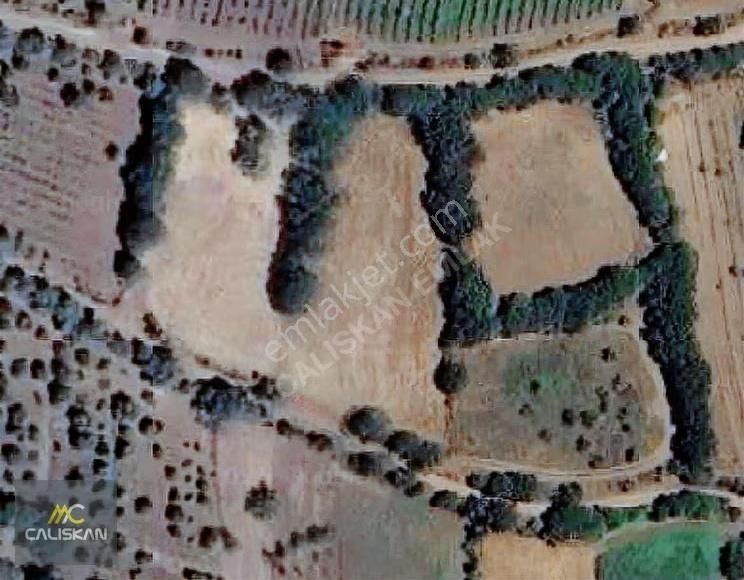 Büyükyıldız Köyü Satılık 2.827 Tl Satılık Tarla