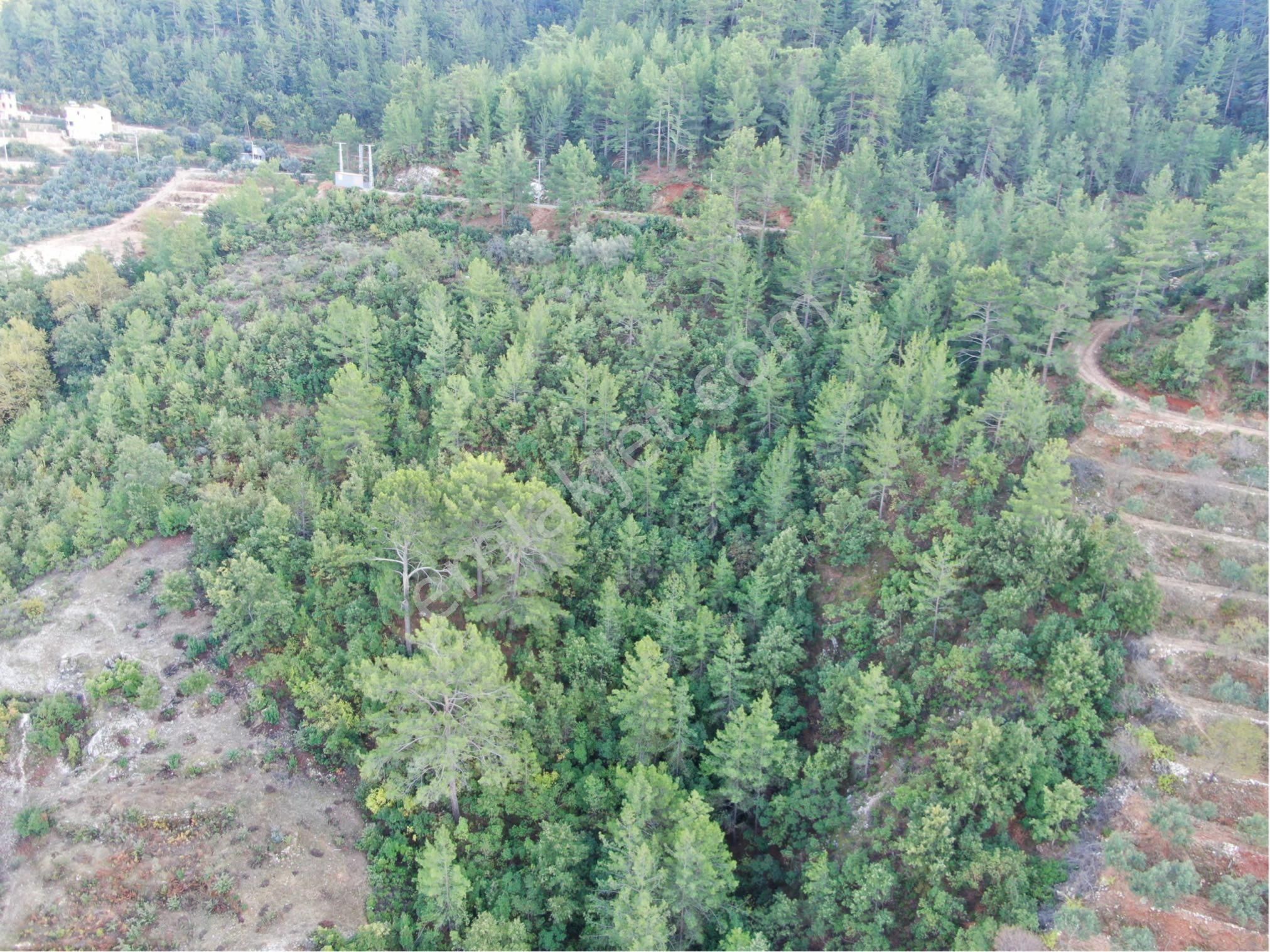 Aalanya Türktaş Mah. 1.105 M2 Satılık Tarla - Görsel 2