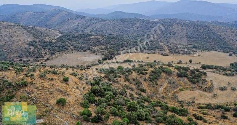 Milas Dörttepe Mahallesi Ağaoğlu Projesine Yanında - Görsel 27