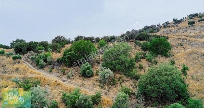 Milas Dörttepe Mahallesi Ağaoğlu Projesine Yanında - Görsel 29