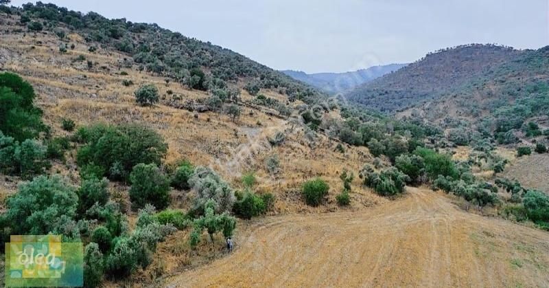 Milas Dörttepe Mahallesi Ağaoğlu Projesine Yanında - Görsel 25