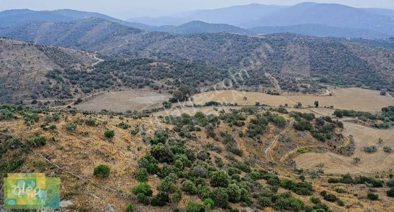 Milas Dörttepe Mahallesi Ağaoğlu Projesine Yanında - Görsel 2