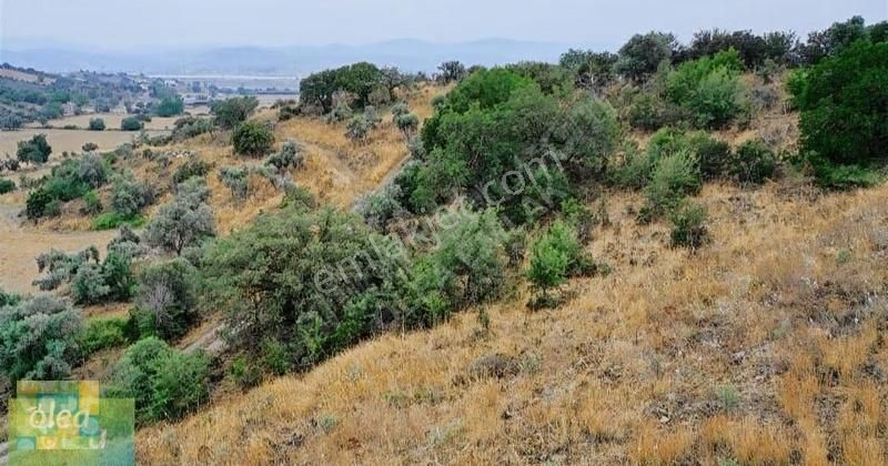 Milas Dörttepe Mahallesi Ağaoğlu Projesine Yanında - Görsel 21