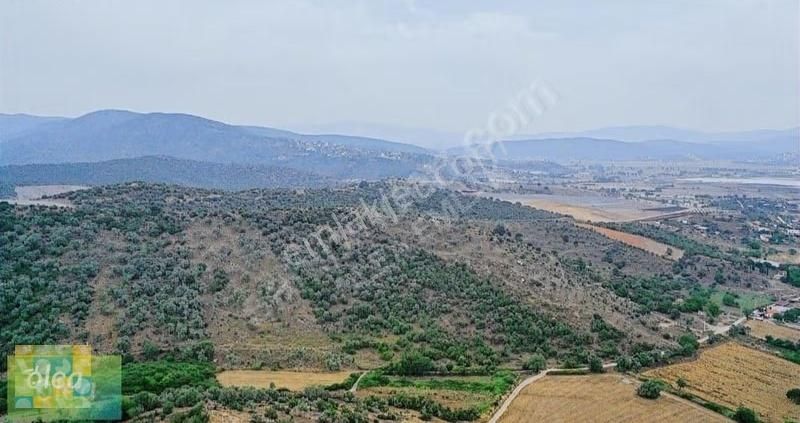 Milas Dörttepe Mahallesi Ağaoğlu Projesine Yanında - Görsel 24