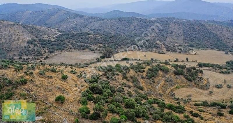 Milas Dörttepe Mahallesi Ağaoğlu Projesine Yanında - Görsel 5