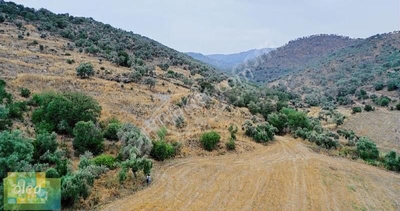 Milas Dörttepe Mahallesi Ağaoğlu Projesine Yanında - Görsel 4