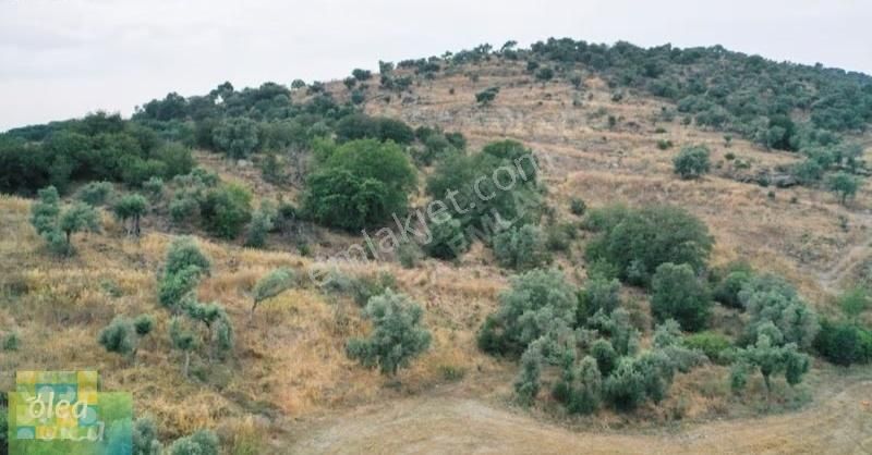 Milas Dörttepe Mahallesi Ağaoğlu Projesine Yanında - Görsel 9
