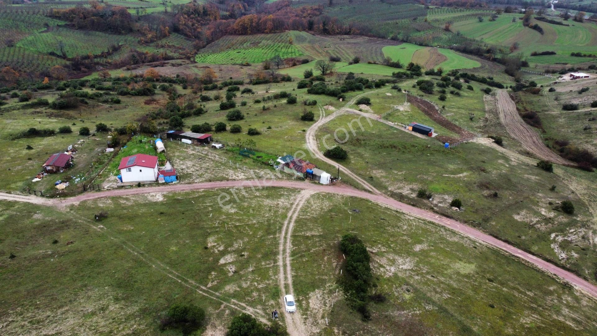 Kandıra Hacışeyh De Ulaşımı Olan Verimli Satılık Tarla