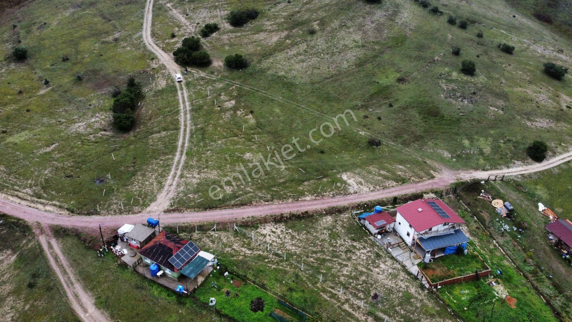 Kandıra Hacışeyh De Ulaşımı Olan Verimli Satılık Tarla - Görsel 3