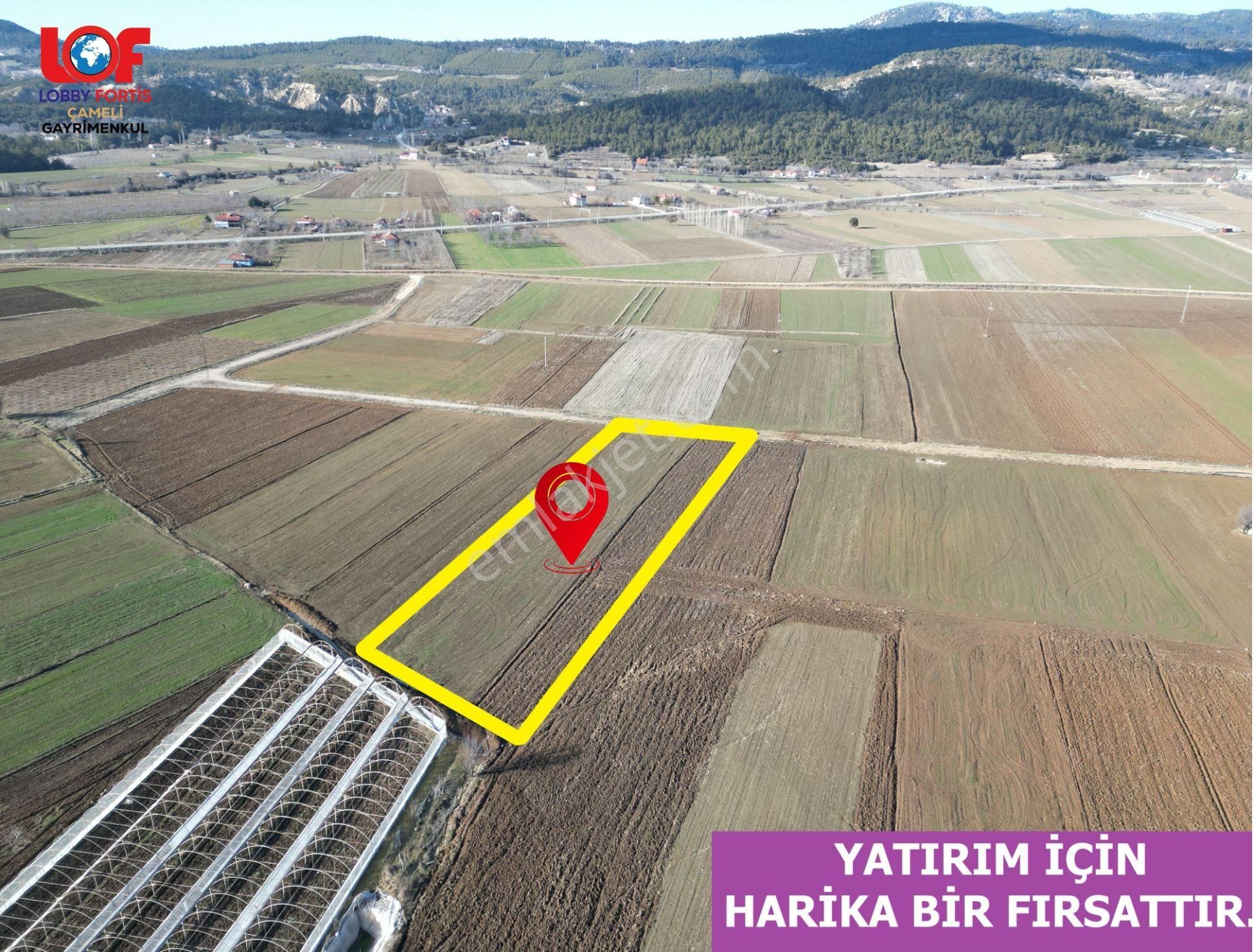 🦋lobby Fortis'ten Satılık Çameli Bıçakçı'da 6142 M² Harika Arazi🦋 - Görsel 7