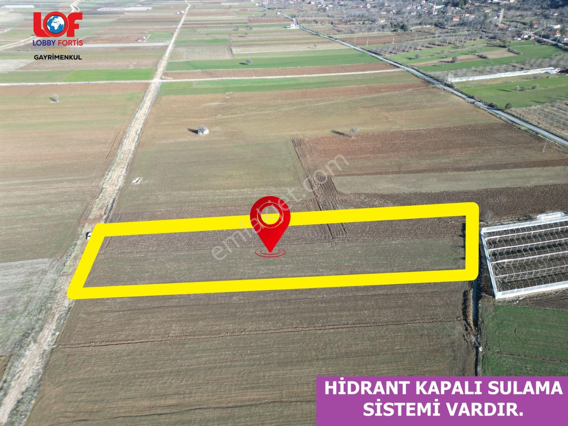 🦋lobby Fortis'ten Satılık Çameli Bıçakçı'da 6142 M² Harika Arazi🦋 - Görsel 2