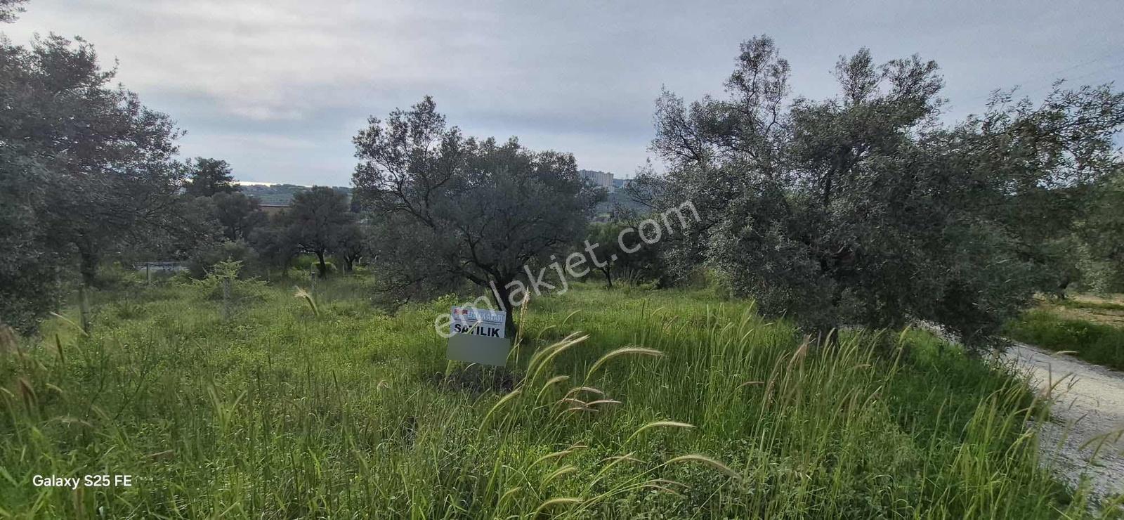 700metre Arsa İmarlı Deniz Manzaralı - Görsel 3