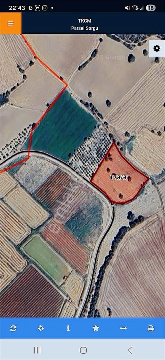 Yola Sıfır 8066 M² Yatırımlık Ve Tarıma Uygun Arazi - Görsel 5