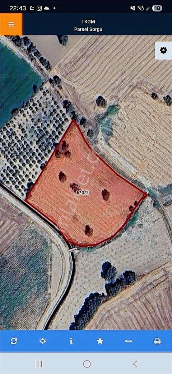 Yola Sıfır 8066 M² Yatırımlık Ve Tarıma Uygun Arazi - Görsel 4