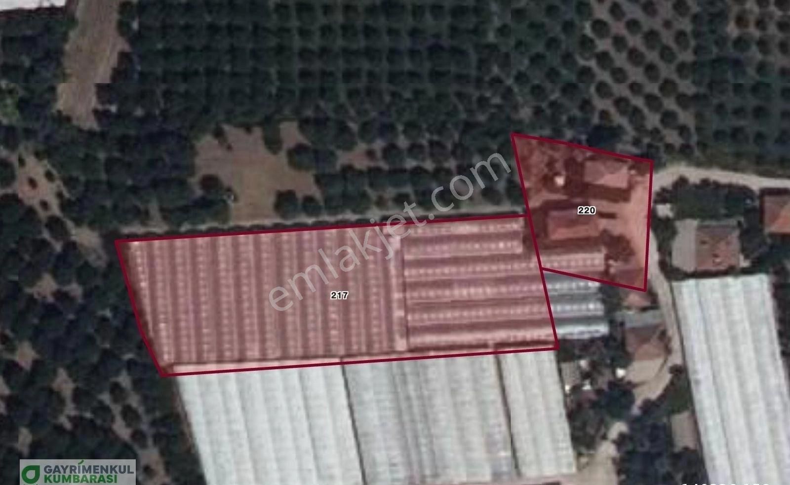 Antalya Kumluca Kavak Mah. Sera Ve 2 Ev - Görsel 35