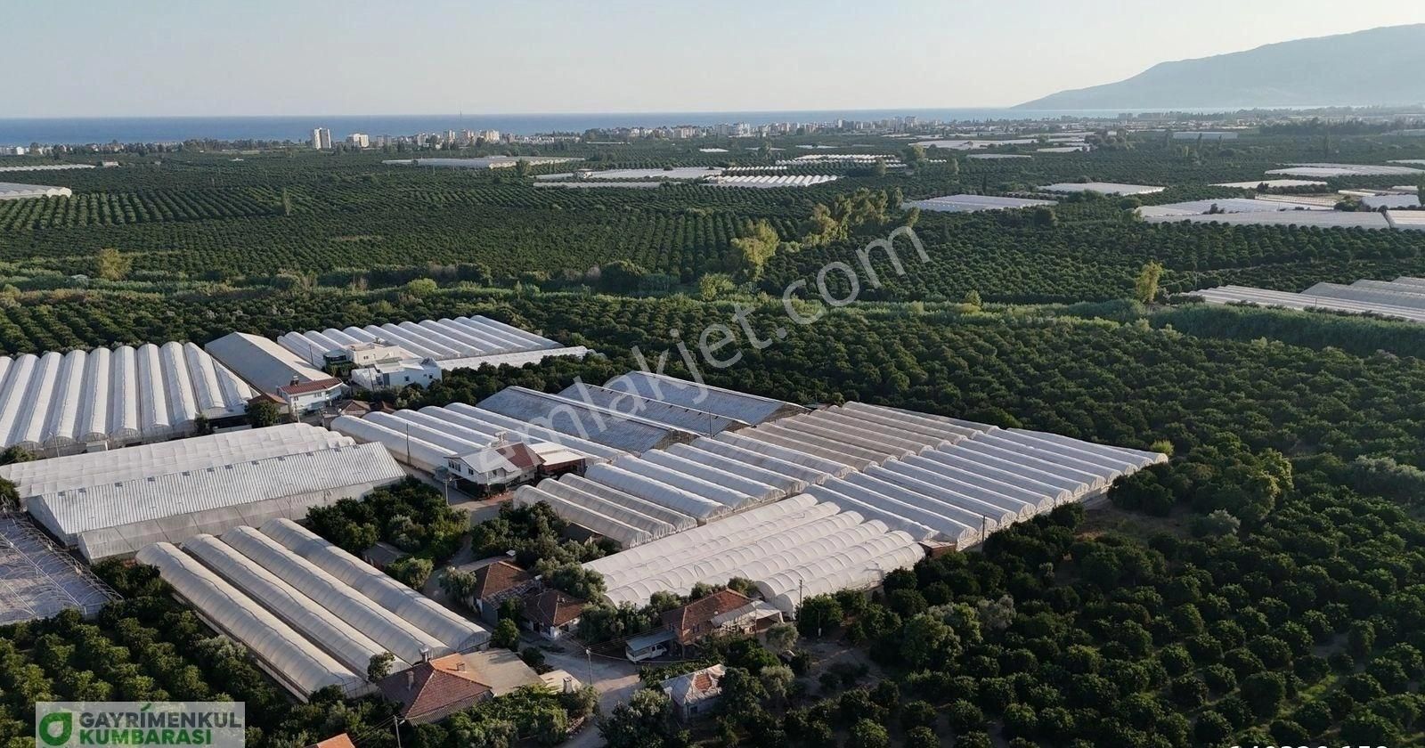 Antalya Kumluca Kavak Mah. Sera Ve 2 Ev - Görsel 2